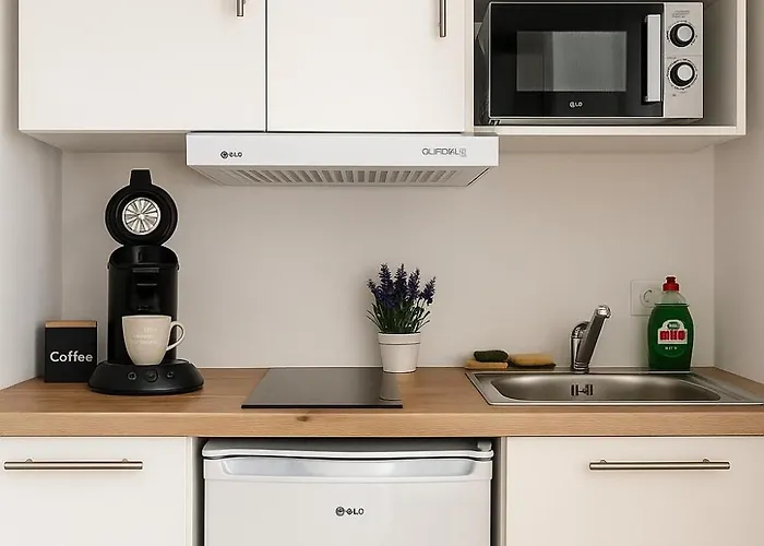 Apartmán Neuf Et Moderne St-die - Calme - Wifi - 2 Min Gare - Parking Gratuit Proche Saint-Die-des-Vosges