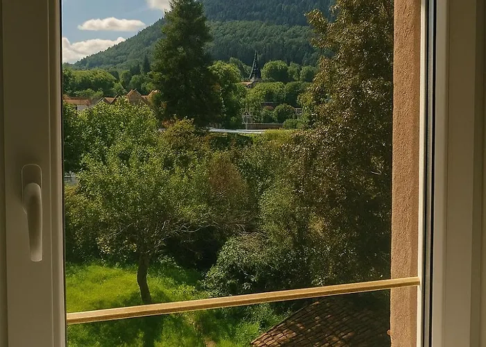 Neuf Et Moderne St-die - Calme - Wifi - 2 Min Gare - Parking Gratuit Proche Saint-Die-des-Vosges