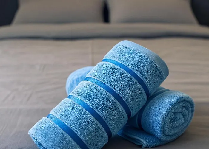 Neuf Et Moderne St-die - Calme - Wifi - 2 Min Gare - Parking Gratuit Proche Apartmán